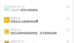 滴滴程序员爆料视频,揭秘网约车平台内部黑幕