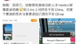 深圳网友张大哥最新爆料,揭秘最新热点事件内幕